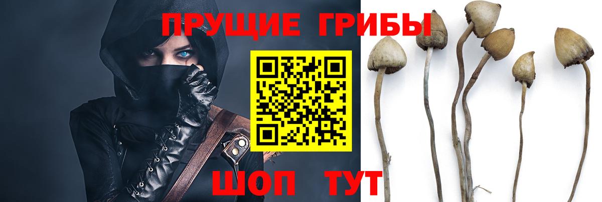 Кострома  Галлюциногенные грибы MAGIC MUSHROOMS  Вход с VPN 